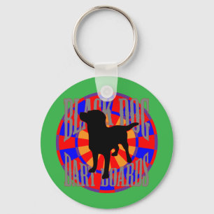 The Silencer Key Ring
