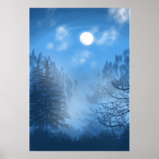 The Silent Canopy Poster (Front)