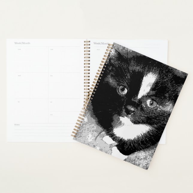 The Silent Observer  Planner (Display)