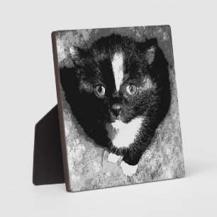 The Silent Observer Plaque