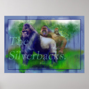 The Silver-Backs Poster