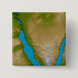 The Sinai Peninsula 15 Cm Square Badge
