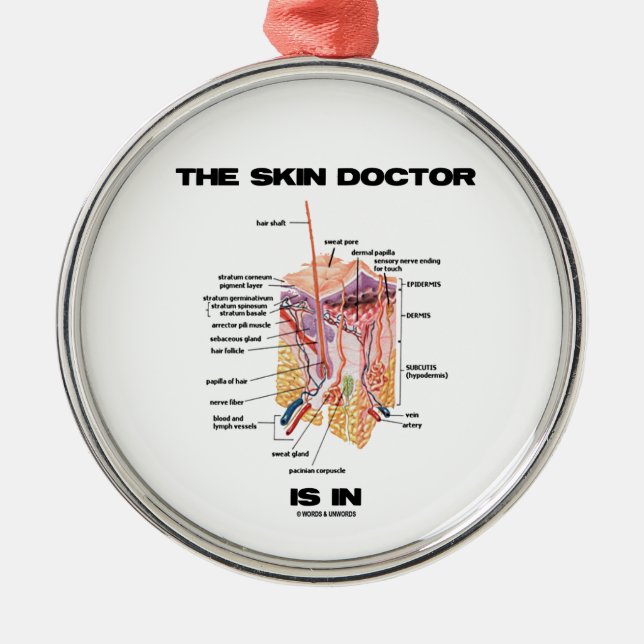 The Skin Doctor Is In (Anatomy Dermatology) Metal Tree Decoration (Front)