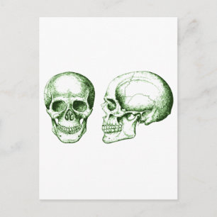 The Skull Postcard