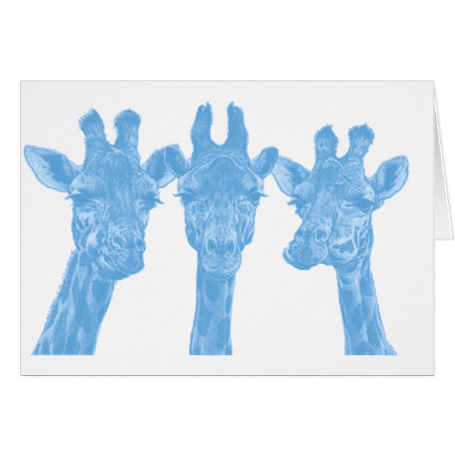 THE SKY GIRAFFES (Front Horizontal)