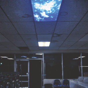 the sky is falling poster