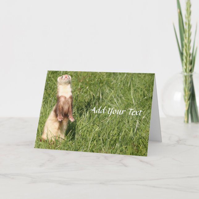 The Sky is Up Ferrets Holiday Card (Front)