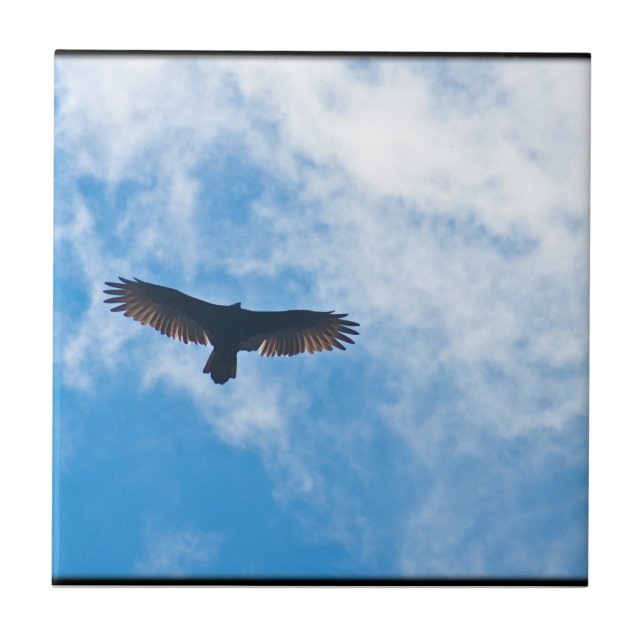 THE SKY TILE (Front)