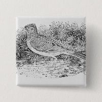 The Skylark