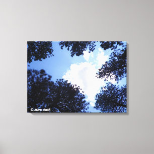 The Sky's the Limit Canvas Print