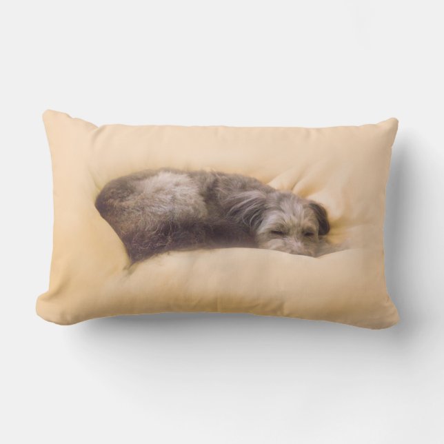 The Sleep of the Dog Lumbar Cushion (Front)