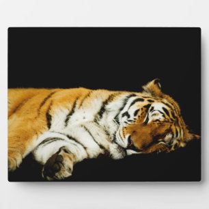 The Sleeping Amur Plaque