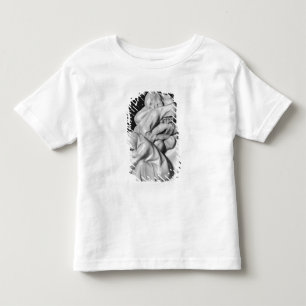 The sleeping Apostles Toddler T-Shirt