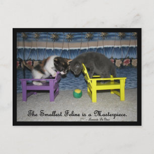 The Smallest Feline is a Masterpiece Postcard