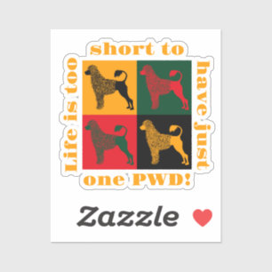 The smart Portuguese water dog  