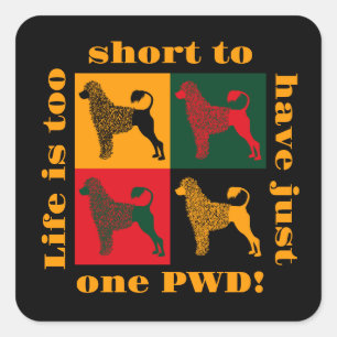 The smart Portuguese water dog  Square Sticker