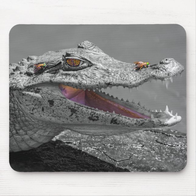 The smiling crocodile and the flies - Costa Rica Mouse Pad (Front)