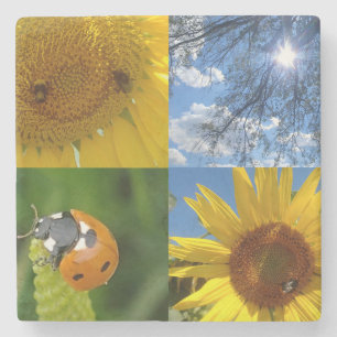The Smiling Sunflower Stone Coaster