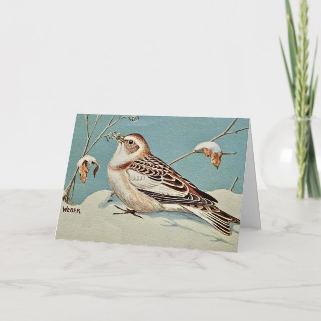 The Snow Bunting Holiday Card (Front)