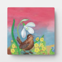 The snowdrop and the wren bird summon the spring 