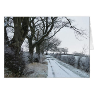 "The Snowy Lane" Northumberland England