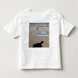 The solar day lighting system toddler T-Shirt
