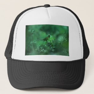 The Song Trucker Hat