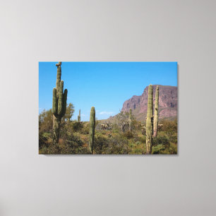 The Sonoran Desert of Arizona Canvas Print