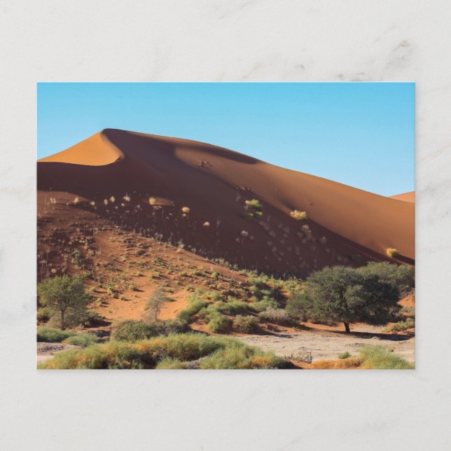 The Sossusvlei dunes in Namibia postcard (Front)