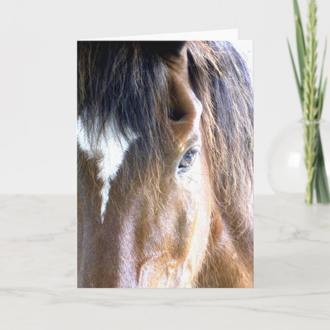 The Soul l Horse Face Close-Up Photography Card (Front)