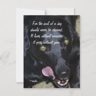 The Soul of a Dog - Black Lab Holiday Card