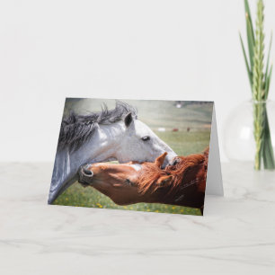 The soul of a horse! "Hug" Greeting Card
