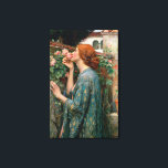 The Soul of the Rose, 1908 Canvas Print<br><div class="desc">The Soul of the Rose,  1908 | by John William Waterhouse | Art Location: Private Collection | English Artist | Image Collection Number: BAL13776</div>