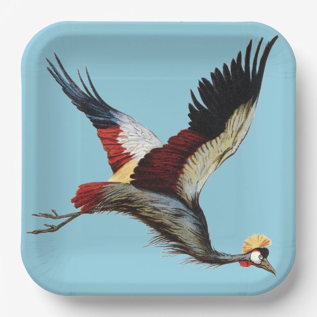 The South African crowned crane in mid-flight Paper Plate (Front)