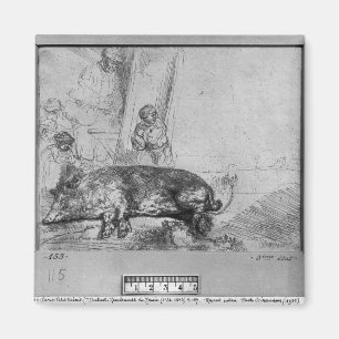 The Sow, 1643 Magnet