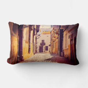 The Spanish Alley Lumbar Cushion