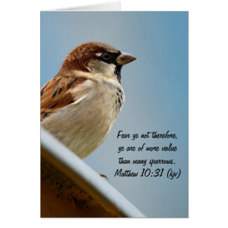 The Sparrow