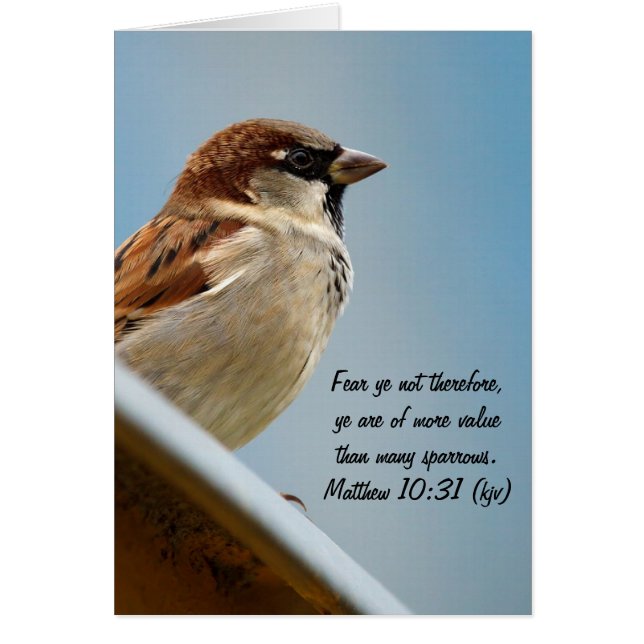 The Sparrow (Front)