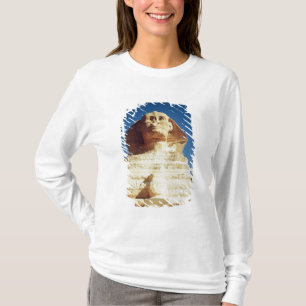 The Sphinx, dating from the reign of King T-Shirt