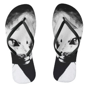 The Sphynx Cat Feline Animal Portrait Original Art Jandals