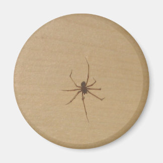 The Spider Magnet