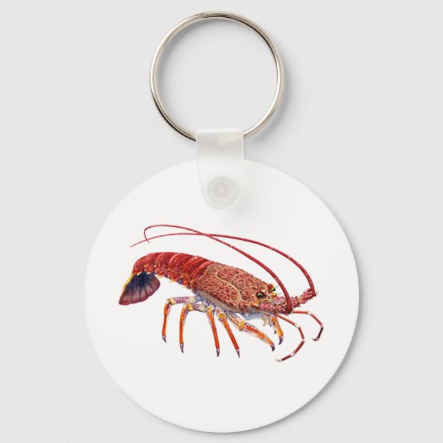 THE SPINEY ONE KEY RING (Front)