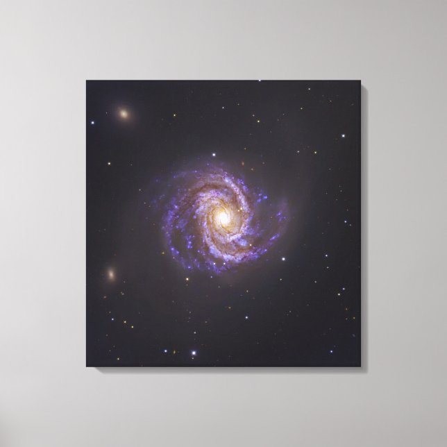The Spiral Galaxy M100 and Supernova SN2006X Canvas Print (Front)