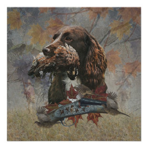 The Sprocker Spaniel , Gun dog art Poster