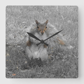 The Squirrel Did It Square Wall Clock