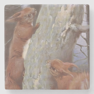 THE SQUIRREL (Sciurus vulgaris) Stone Coaster