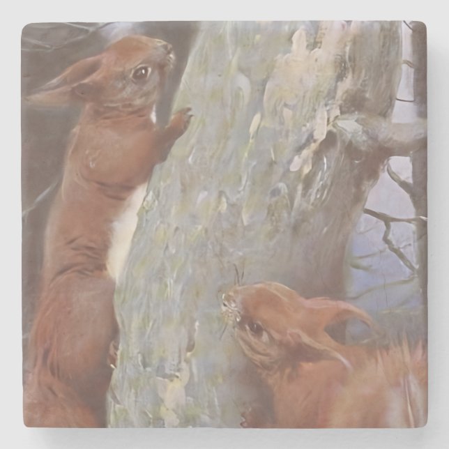 THE SQUIRREL (Sciurus vulgaris) Stone Coaster (Front)