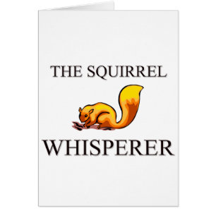 The Squirrel Whisperer