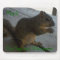 The Squirrel Whisperer Mousepad, customisable