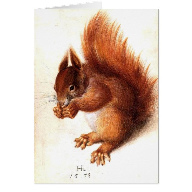 THE SQUIRREL WITH NUTS (Front)